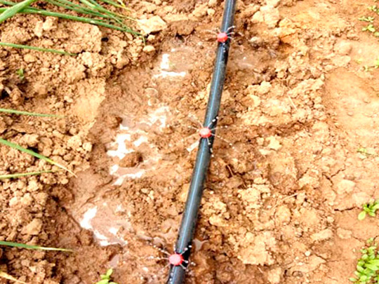 山东绿园节水灌溉设备有限公司